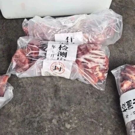 警方突袭一牛肉制假窝点,现场多人正往猪肉上涂抹牛油、牛血冒充牛肉……-八博网