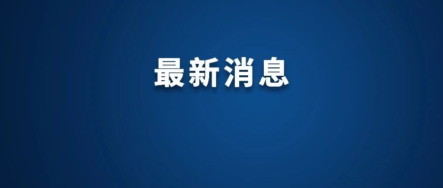 白菜装车前蘸甲醛？当地通报来了！-八博网