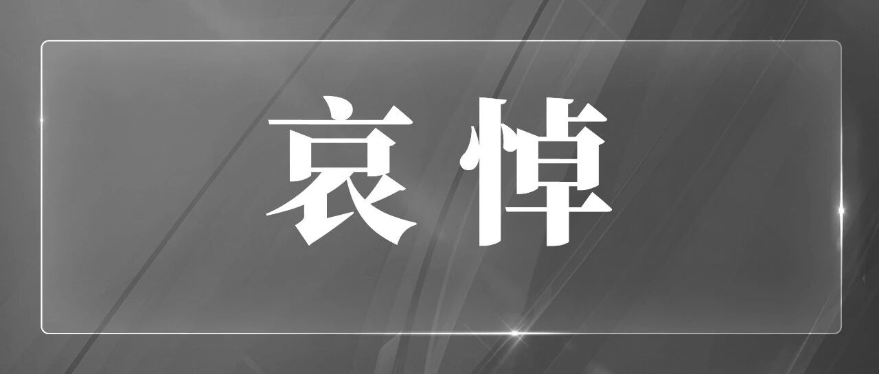 朱镕基同志生平-八博网