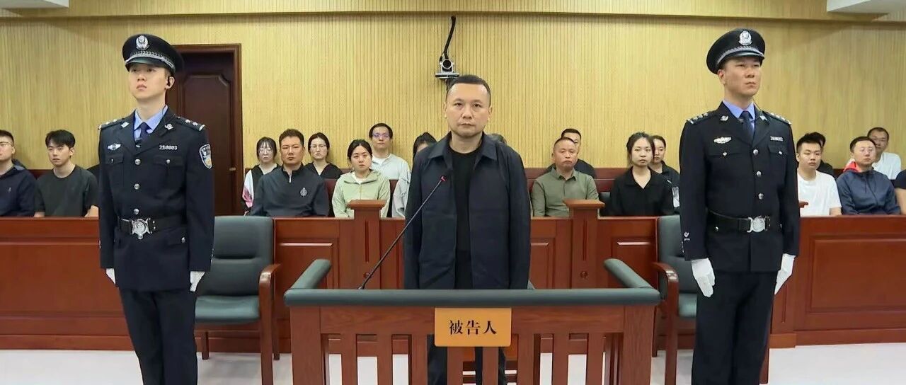 北大原副校长任羽中,有期徒刑八年!-八博网