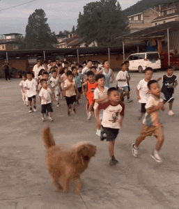 “孩子们,明天早上6点准时开跑!”-八博网