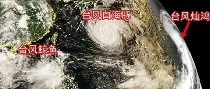 三台风“共舞”！“白海豚”逼近，华东将有特大暴雨-八博网