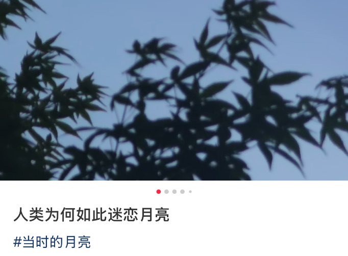 图片[11]-我就想抬头看看，天上到底有谁在啊？-八博网