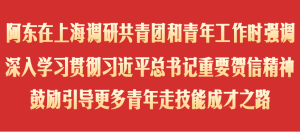 阿东在上海调研共青团和青年工作时强调 深入学习贯彻习近平总书记重要贺信精神 鼓励引导更多青年走技能成才之路-八博网
