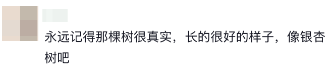 图片[8]-我就想抬头看看，天上到底有谁在啊？-八博网