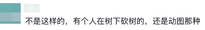 图片[9]-我就想抬头看看，天上到底有谁在啊？-八博网