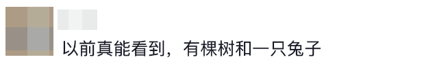 图片[7]-我就想抬头看看，天上到底有谁在啊？-八博网