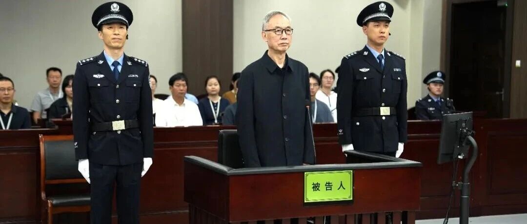 胡幼桃，一审被判十三年！-八博网