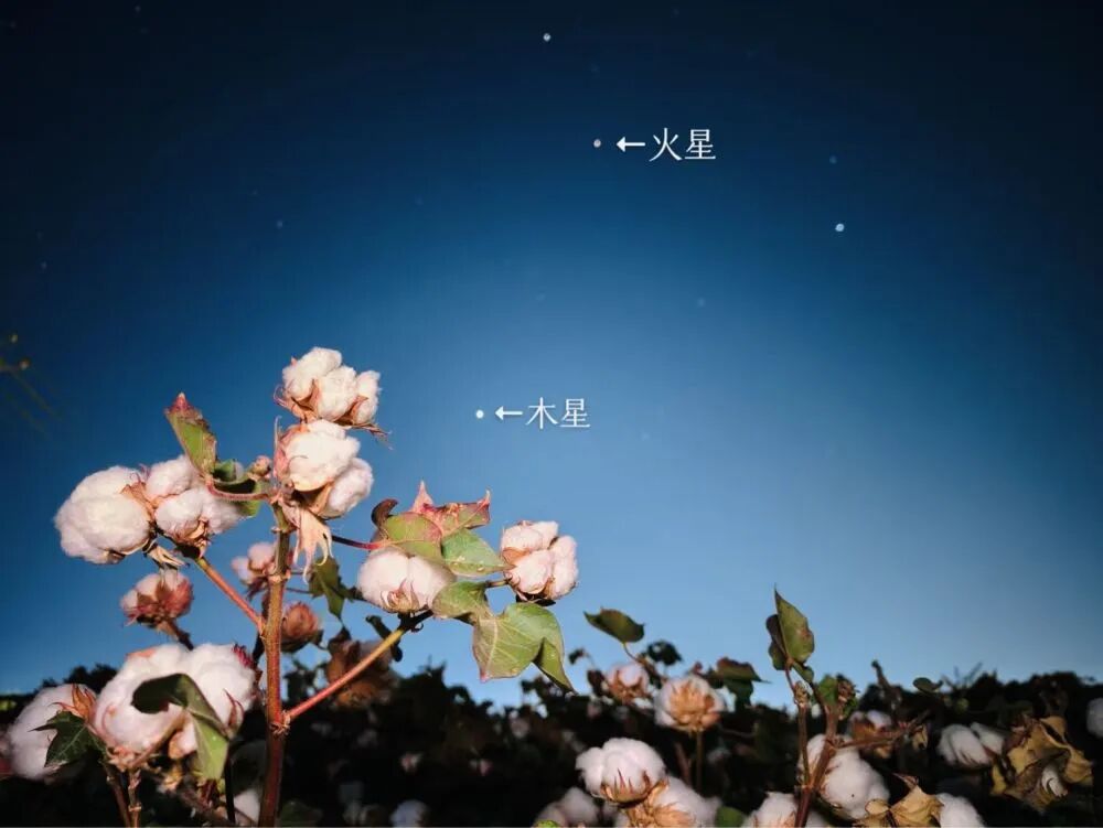 图片[2]-今晚，记得抬头看！-八博网